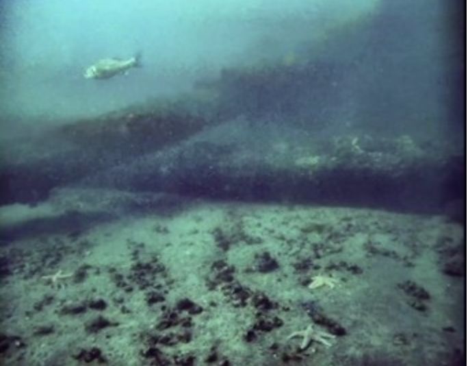 Underwater imaging after I2S technology - enhanced visibility and clarity