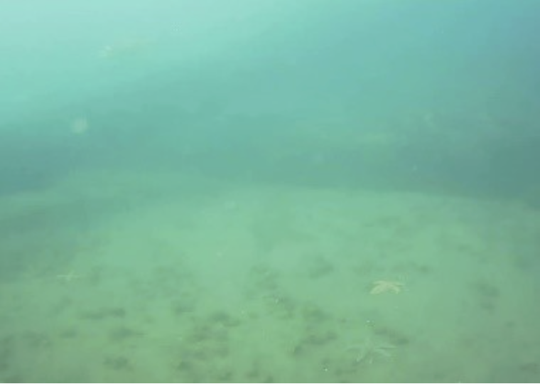 Underwater imaging before I2S technology - limited visibility in turbid conditions